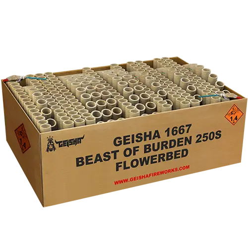 Beast of Burden 250's Fan Flowerbed Geisha