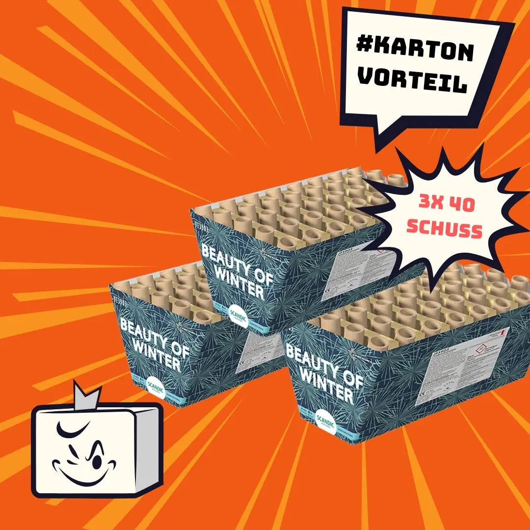 #KARTONVORTEIL 📦 Scandic Beauty of Winter Fan - 3 Stk - VE Scandic