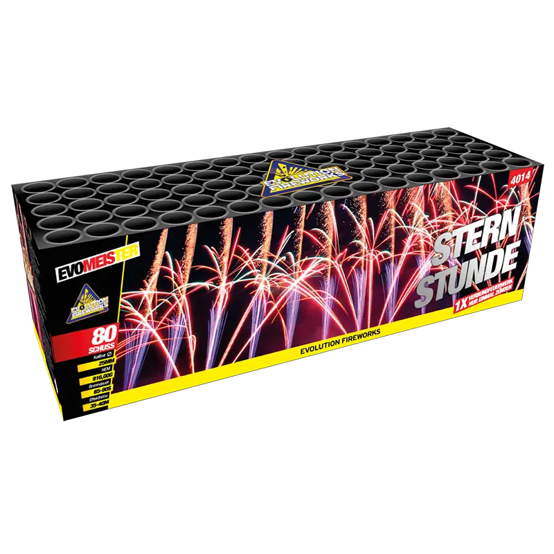 Sternstunde Evolution