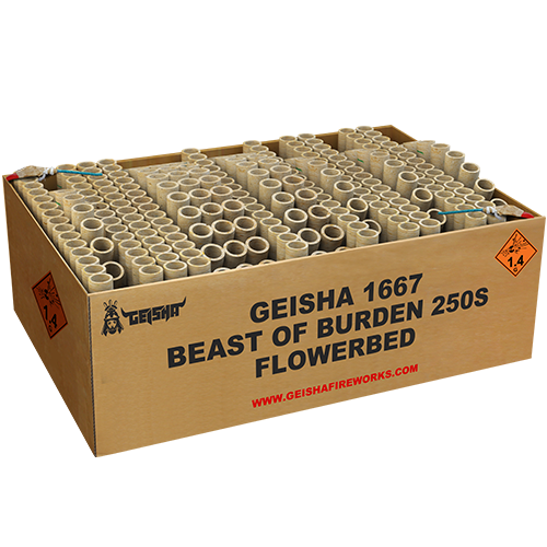 1667-Geisha-Beast-of-Burden-250-Schuss-Verbundfeuerwerk_9dea0461-87ae-4625-985a-54bb96d987b4.png