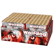 Wolfdog Lesli