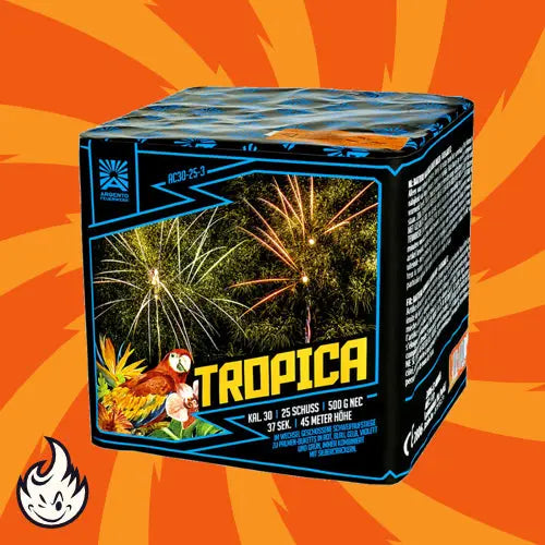 Die quadratische Schachtel der Argento Tropica Feuerwerksbatterie 25sh von Argento zeigt tropische Pflanzen, einen Papagei und Feuerwerksexplosionen auf einem orangefarbenen Hintergrund mit strahlenförmigen Linien und einem Flammensymbol, was auf lebhafte Palmenbuketts hindeutet.