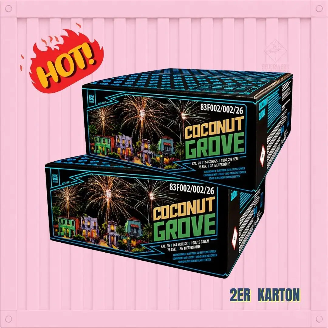 Zwei „Argento Coconut Grove 2er Karton“ 📦-Kartons von Feuerwerk Outlet mit leuchtenden Feuerwerksmotiven sind vor einem rosa Hintergrund gestapelt. In der oberen linken Ecke ist ein „HOT!“-Schriftzug zu sehen, während unten rechts „2ER KARTON“ steht.