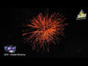 EVOLUTION Fireworks Double Whammy 80 Schuss Verbundfeuerwerk 25 mm Video