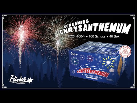 Funke Screaming Chrysanthemum 100sh Compound