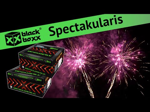 Spectakularis No.3