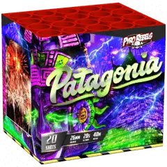 Patagonia 20's