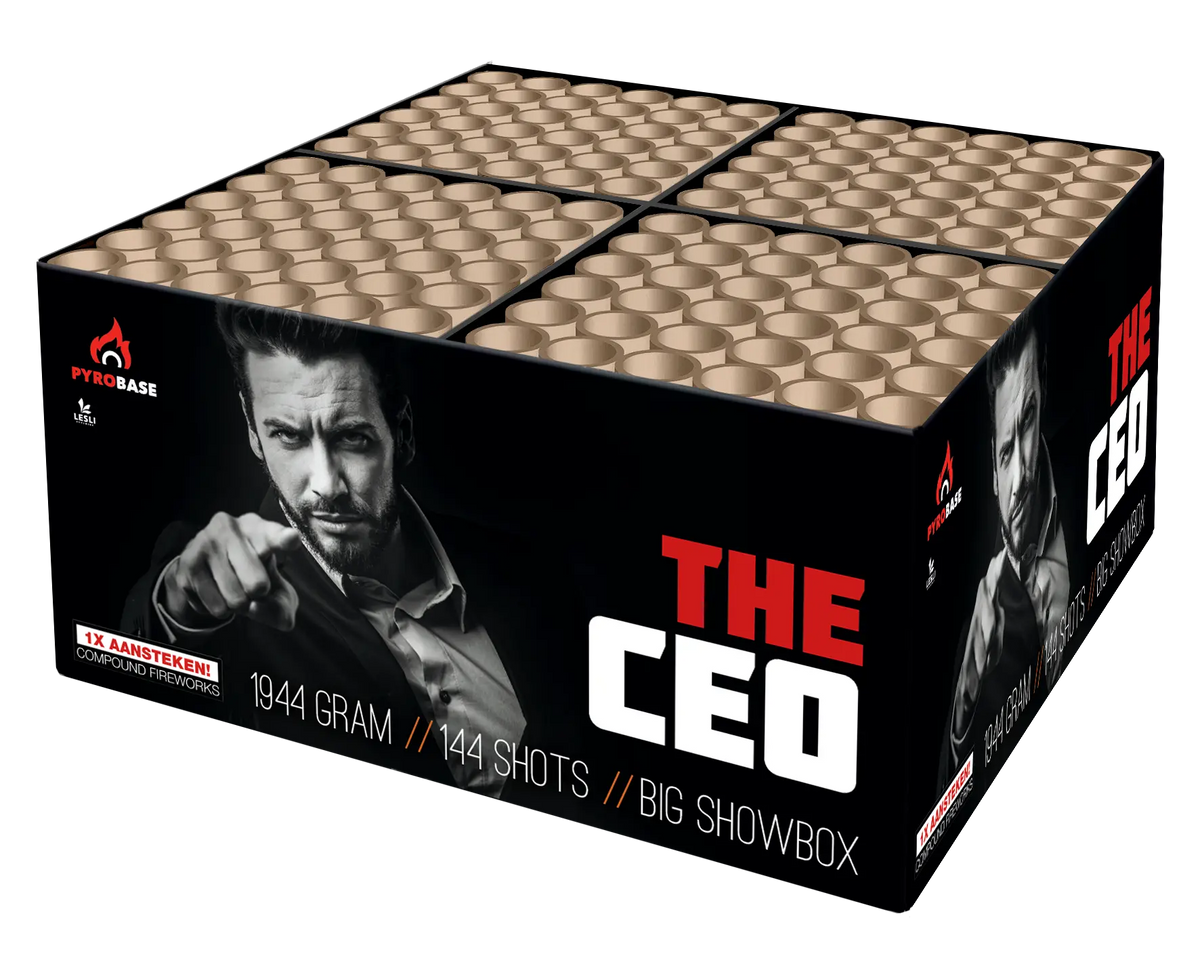 The CEO Lesli