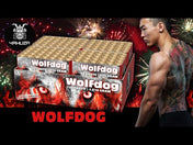 Wolfdog